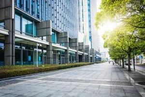 SEO w Japonii: optymalizacja pod japońskie wyszukiwarki i słowa kluczowe